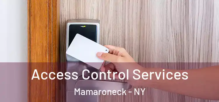 Access Control Services Mamaroneck - NY