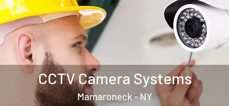 CCTV Camera Systems Mamaroneck - NY