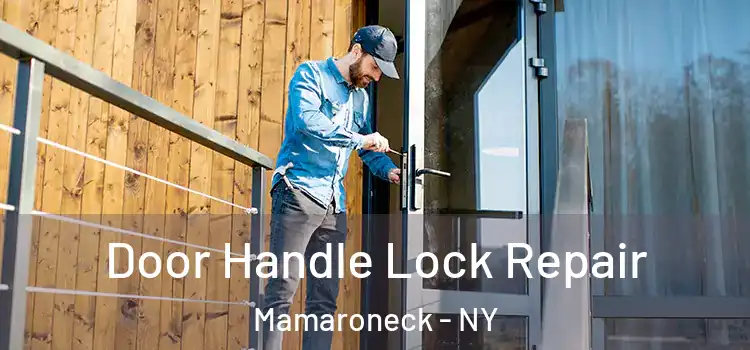 Door Handle Lock Repair Mamaroneck - NY