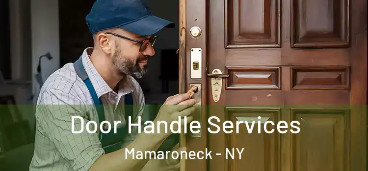 Door Handle Services Mamaroneck - NY