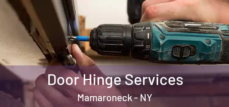 Door Hinge Services Mamaroneck - NY