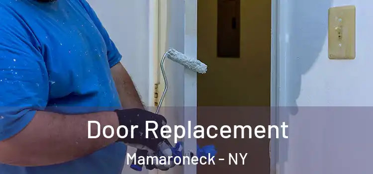 Door Replacement Mamaroneck - NY