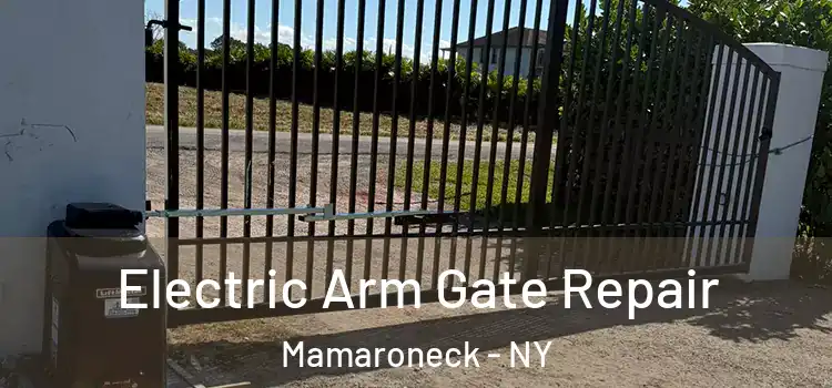 Electric Arm Gate Repair Mamaroneck - NY