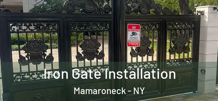 Iron Gate Installation Mamaroneck - NY