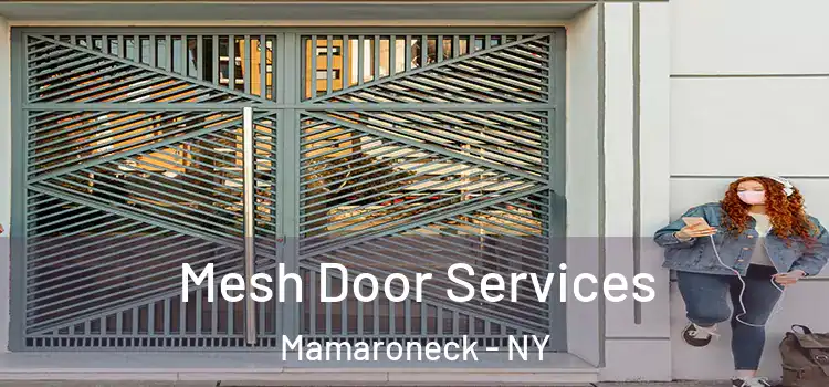 Mesh Door Services Mamaroneck - NY