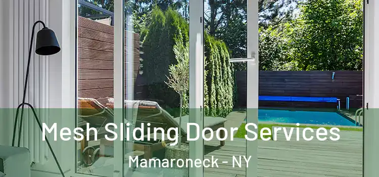 Mesh Sliding Door Services Mamaroneck - NY