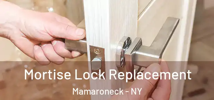 Mortise Lock Replacement Mamaroneck - NY