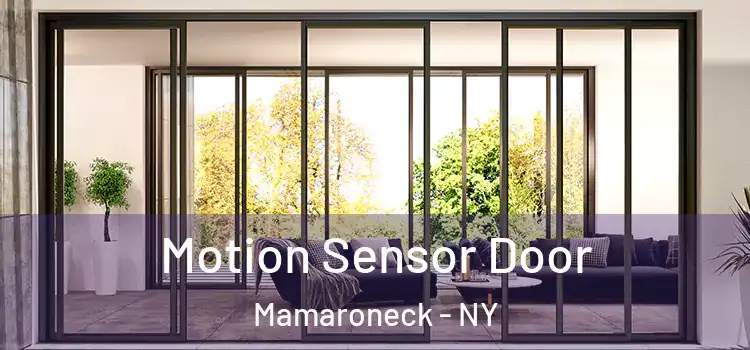 Motion Sensor Door Mamaroneck - NY