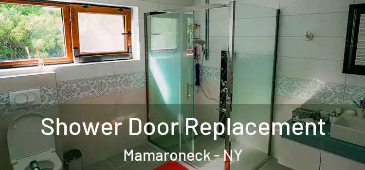 Shower Door Replacement Mamaroneck - NY